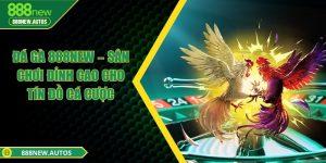 Đá gà 888NEW – Sân chơi đỉnh cao cho tín đồ cá cược