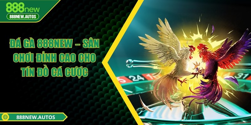 Đá gà 888NEW – Sân chơi đỉnh cao cho tín đồ cá cược
