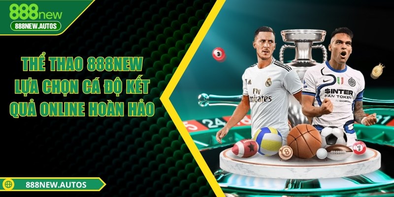 Thể thao 888NEW - Lựa chọn cá độ kết quả online hoàn hảo