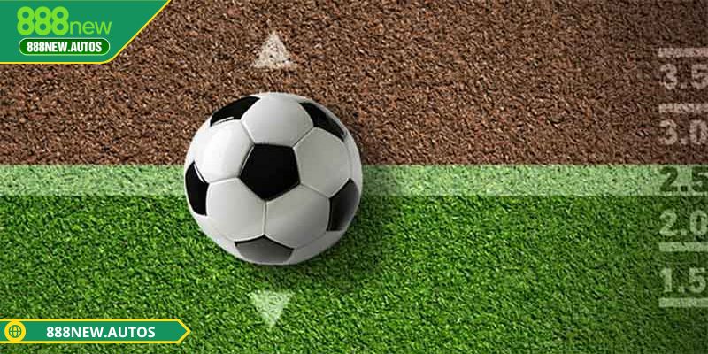 Tỷ lệ kèo 888NEW kiến thức bất kỳ người chơi nào cũng phải nắm bắt 